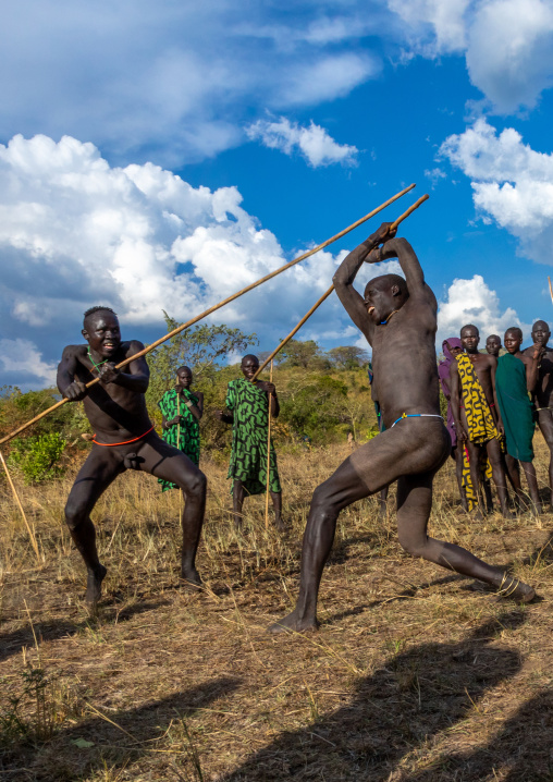 Suri tribe warriors fighting during a donga stick ritual, Omo valley, Kibish, Ethiopia