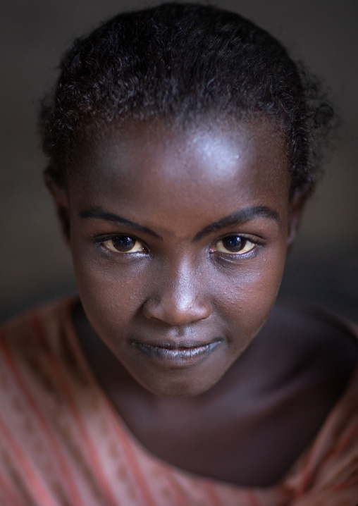 Portrait of an afar tribe girl, Afar Region, Afambo, Ethiopia