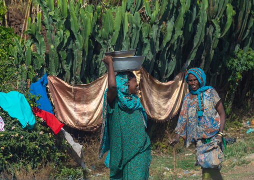 Ethiopian women walking in the street, Oromia, Kobo, Ethiopia