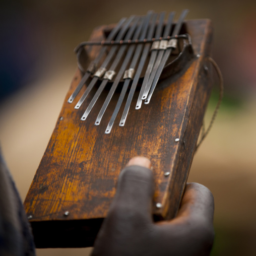 Detail of a Suri kalimba, Kibish, Omo valley, Ethiopia