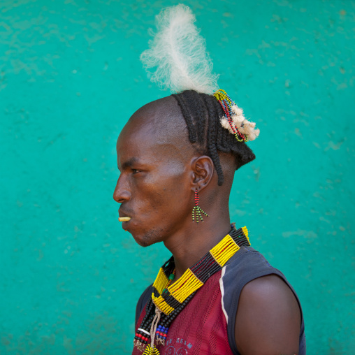 Young Hamar Tribe Man With Decorated Hair, Turmi, Omo Valley, Ethiopia