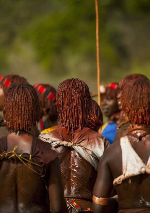 Hamer Tribe Women Dancing During Bull Jumping Ceremony, Turmi, Omo Valley, Ethiopia