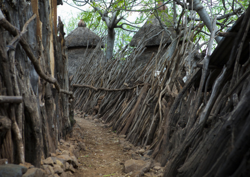 Security System, Fences In Konso Tribe Village, Omo Valley, Ethiopia