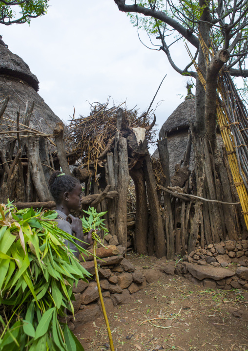 Fences In Konso Tribe  Village, Omo Valley, Ethiopia