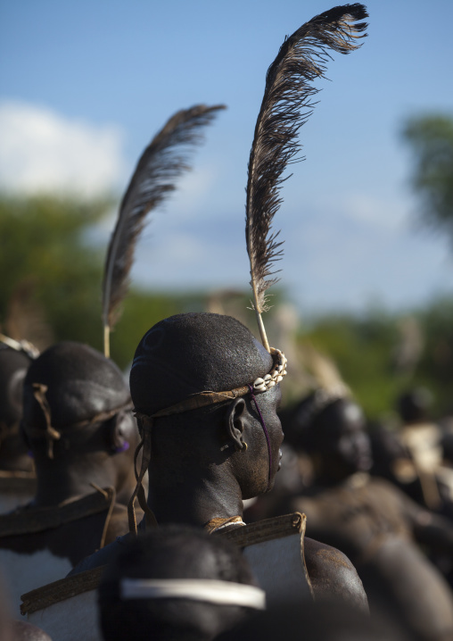 Bodi Tribe Fat Men During Kael Ceremony, Hana Mursi, Omo Valley, Ethiopia