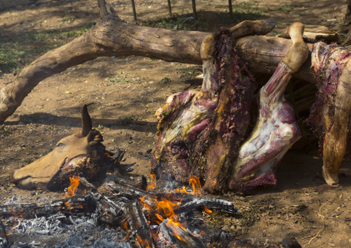 Dassanech Tribe People  Cooking A Cow, Omorate, Omo Valley, Ethiopia