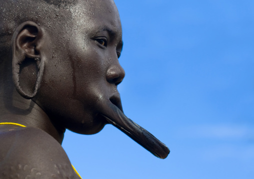 Portrait Of A Mursi Tribe Woman With Lip Plate, Scarifications And Enlarged Ears In Mago National Park, Omo Valley, Ethiopia