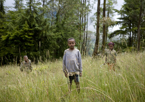 Young boys playing in high grass, Omo valley, Ethiopia