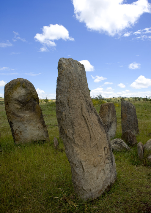 Site of tiya, Unesco world heritage site, Tiya, Ethiopia
