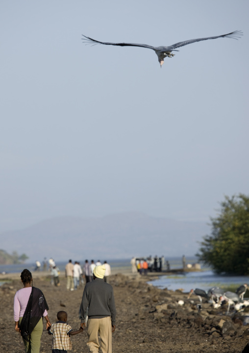 Bird Flying Over A Family, Chamo Lake, Ethiopia