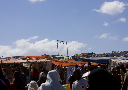 Market day, Bati, Amhara region, Ethiopia