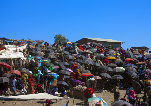 Market day, Bati, Amhara region, Ethiopia