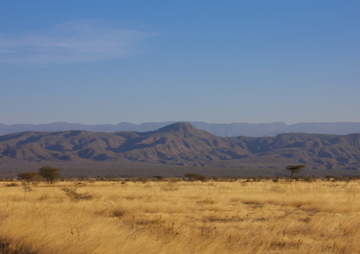 Awash National Parl, Afar Region, Ethiopia