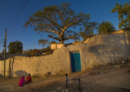 Old City, Harar, Ethiopia