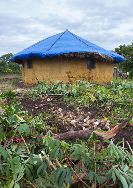 House in koka plantation, Omo valley, Ethiopia