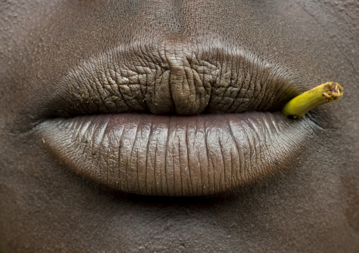 Suri tribe woman lips holding a stick, Kibish, Omo valley, Ethiopia