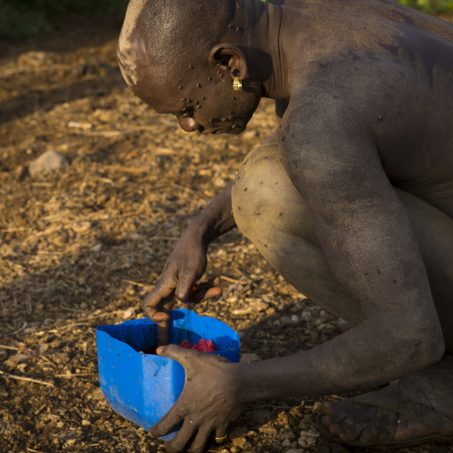 Bodi Tribe Man Drinking Cow Blood For New Year Kael Ceremony, Hana Mursi, Omo Valley, Ethiopia