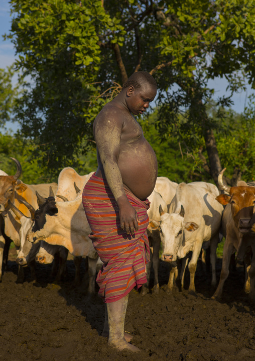 Bodi Tribe Man And Cattle, Hana Mursi, Omo Valley, Ethiopia