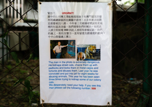 Warning poster about a man who kidnaps street cats, Special Administrative Region of the People's Republic of China , Hong Kong, China