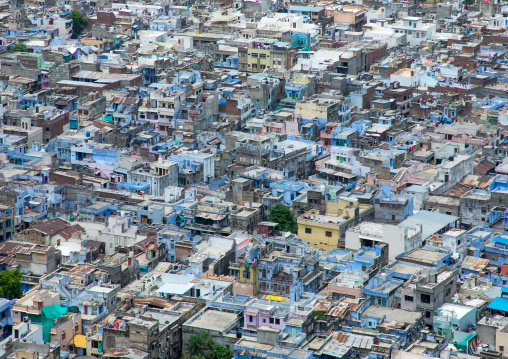 The blue city seen from Chittorgarh fort, Rajasthan, Chittorgarh, India