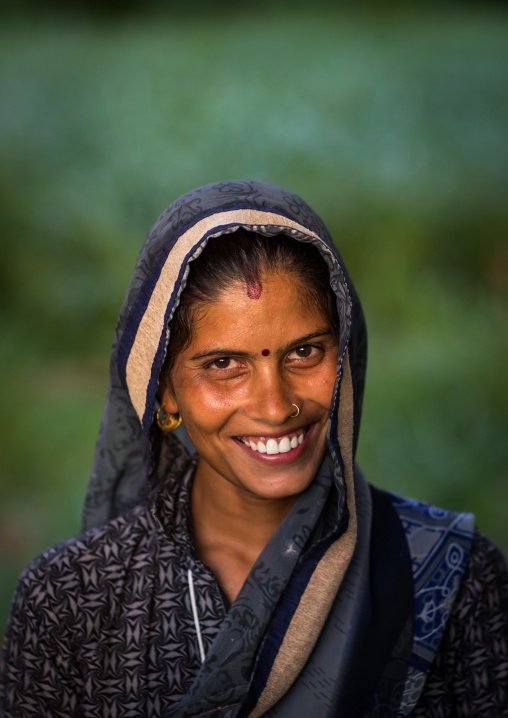 Portrait of a smiling rajasthani woman in traditional sari, Rajasthan, Baswa, India