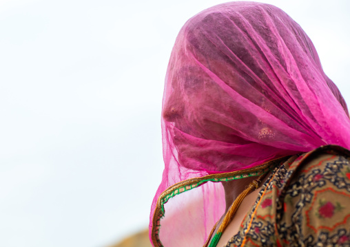 Portrait of a rajasthani woman hidding her face under a pink sari, Rajasthan, Jaisalmer, India
