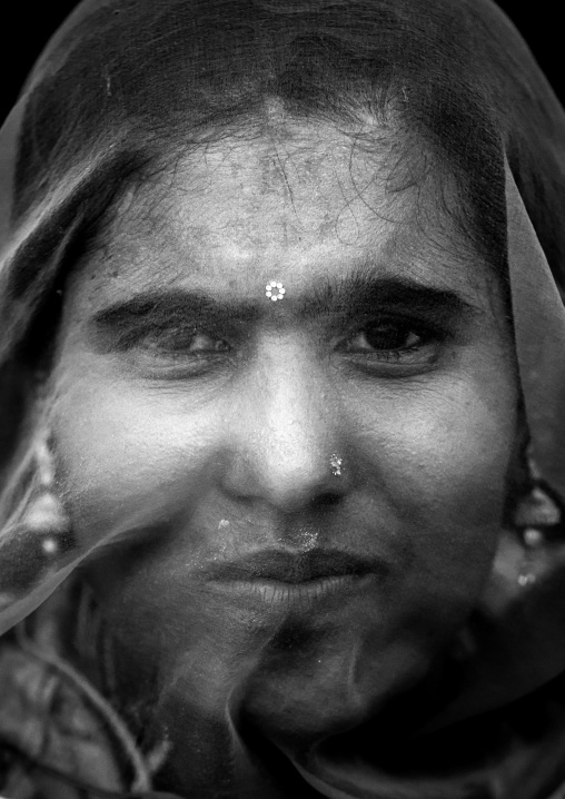 Portrait of a rajasthani woman hidding her face under a sari, Rajasthan, Jaisalmer, India