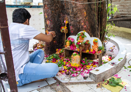 Altar with statues of deities adorned with flowers and offerings in a temple, Rajasthan, Udaipur, India