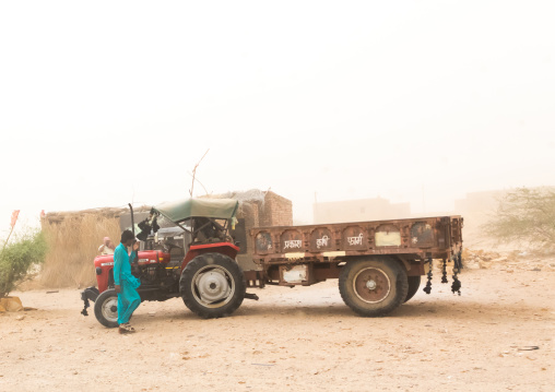 Sand storm in a farm, Rajasthan, Jaisalmer, India