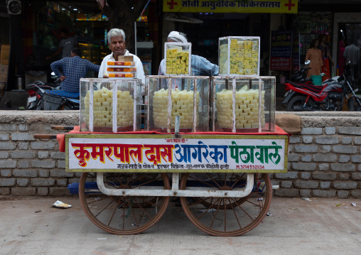 Sweets for sale in a street food shop, Rajasthan, Bundi, India