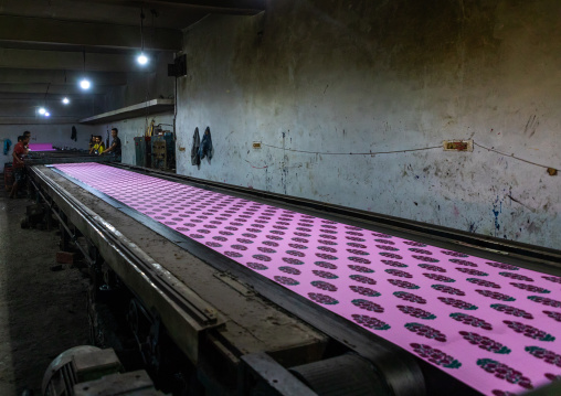 Textiles being printed inside a saree factory, Rajasthan, Sanganer, India