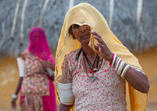 Portrait of rajasthani women with saris, Rajasthan, Jaisalmer, India