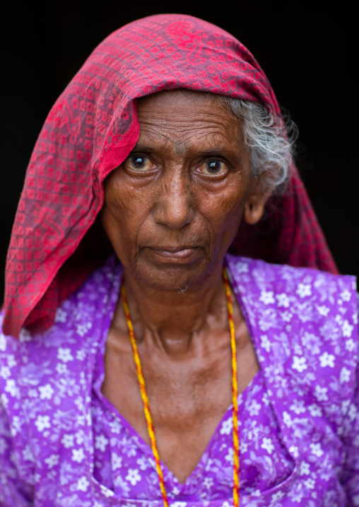 Portrait of a senior rajasthani woman in traditional sari, Rajasthan, Jaisalmer, India