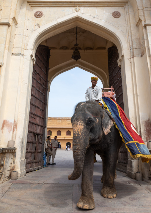 Elephant ride in Amer fort and palace, Rajasthan, Amer, India