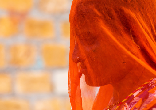 Portrait of a rajasthani woman hidding her face under a orange sari, Rajasthan, Jaisalmer, India