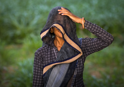 Portrait of a rajasthani woman in traditional sari, Rajasthan, Baswa, India