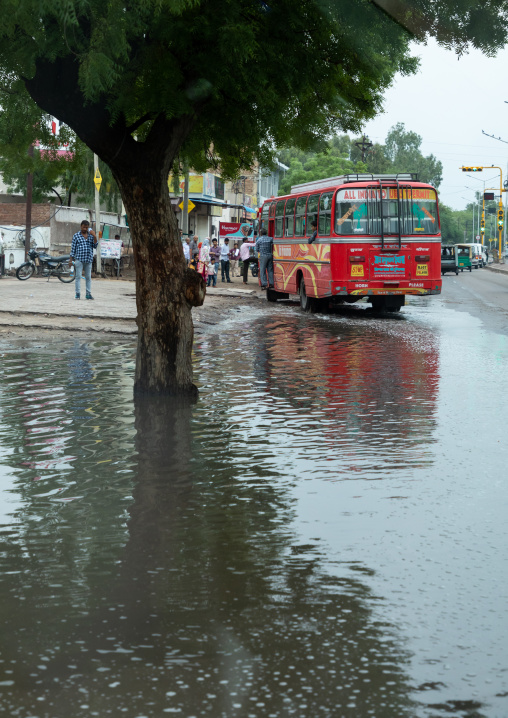 Indian bus on the road during the monsoon, Rajasthan, Bikaner, India