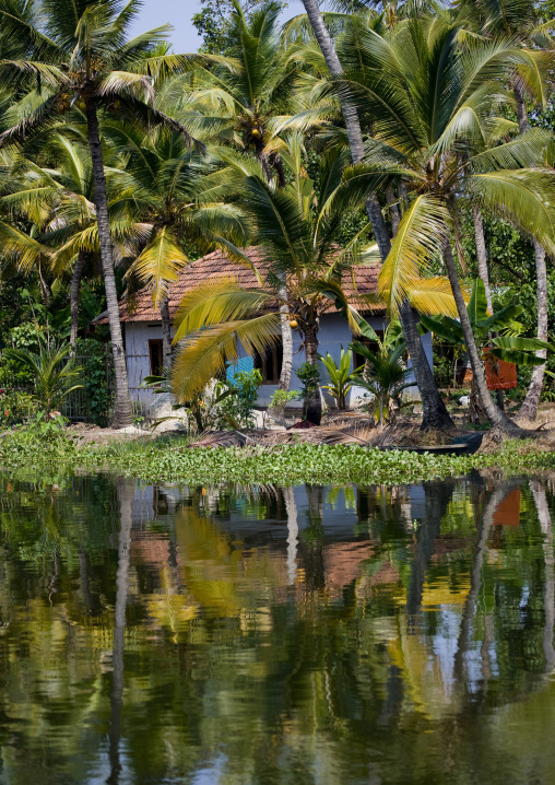House Hidden By Trees On The Banks Of The Backwaters Of Kerala, Alleppey, India