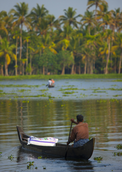 Men Rowing Pirogues In Kerala Backwaters, Alleppey, India