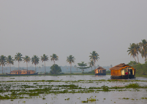 Houseboats Sailing On Kerala Backwaters, Alleppey, India