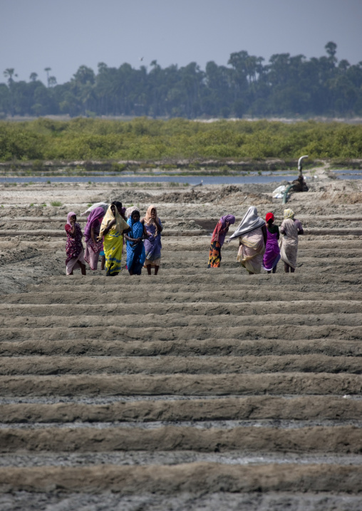 Group Of Women Wearing Scarfs In A Field, Mahabalipuram, India
