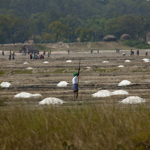 Workers In Salt Marsh Located On The Edge Of A Forest, Mahabalipuram, India