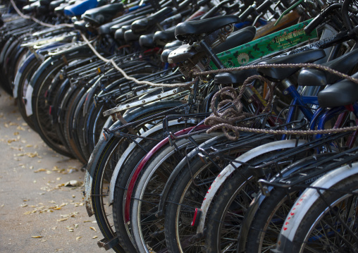 Rows Of Bicycles Tied By A Cord, Pondicherry, India