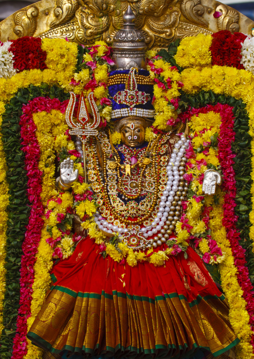 Golden Statue Of Lord Shiva On A Throne Adorned With Flowers For Masi Magam Festival In Pondicherry, India