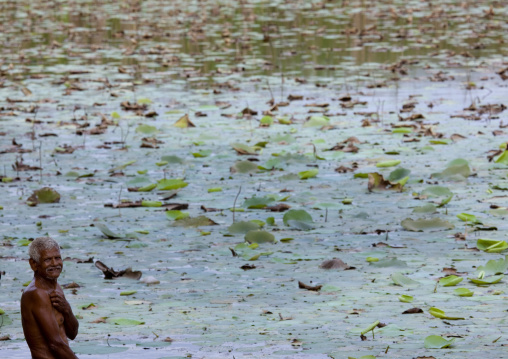 Old Man Looking At The Camera Down By A Pond Full Of Dead Leaves, Pondicherry, India