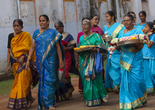Group Of Women In Sari Carrying Offerings  In Procession For A Wedding, Kanadukathan Chettinad, India
