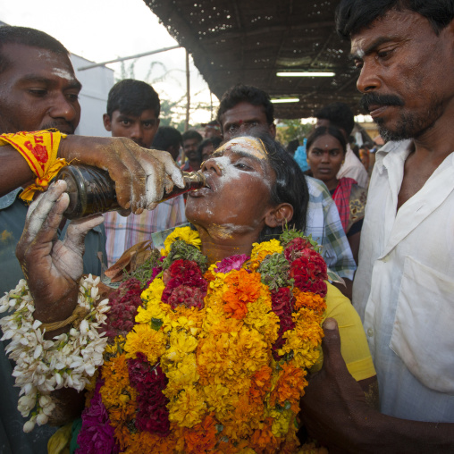 Woman With Offering And Covered By Ashes Drinking Cola And Carried By Men At Fire Walking Ritual, Madurai, South India