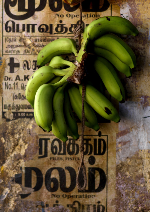 Bunch Of Green Bananas Hung By A String In Market, Pondicherry, India