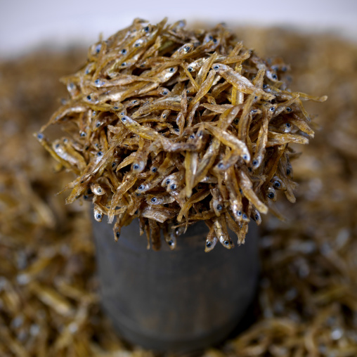 Dried Fishes In Market, Madurai, India