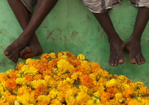 Feet Of Waiters Sitting On A Wall Above Bunches Of Flowers At The Flower Market, Madurai, India
